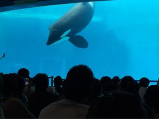セフレ掲示板【愛知県でセフレ募集するなら】  |  セフレ掲示板【セックス募集】