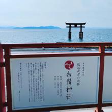 セフレ掲示板【セックス募集】  |  各地でセフレ募集している女性をご紹介しているサイトです。久しくセックスをしていない人やセフレをどんどん増やしたい人はぜひこちらで探して下さい。