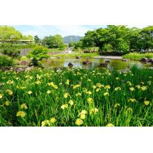 セフレ掲示板【セックス募集】  |  各地でセフレ募集している女性をご紹介しているサイトです。久しくセックスをしていない人やセフレをどんどん増やしたい人はぜひこちらで探して下さい。