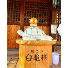 長野県の神待ち家出少女掲示板 – 【神待ち掲示板】家出少女・女性検索サイト