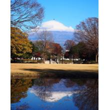 セフレ掲示板【静岡県でセフレ募集するなら】  |  セフレ掲示板【セックス募集】