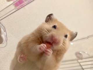 セフレ掲示板【佐賀県でセフレ募集するなら】  |  セフレ掲示板【セックス募集】