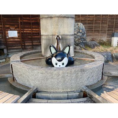 愛媛県の神待ち家出少女掲示板 – 【神待ち掲示板】家出少女・女性検索サイト