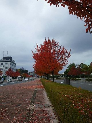 鳥取県の神待ち家出少女掲示板 – 【神待ち掲示板】家出少女・女性検索サイト