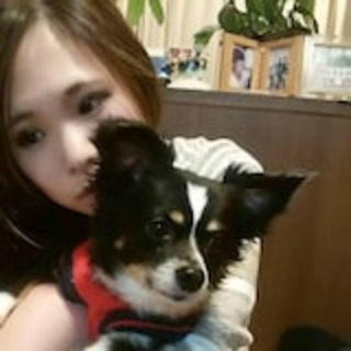 熊本県の神待ち家出少女掲示板 – 【神待ち掲示板】家出少女・女性検索サイト