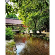 京都  |  セフレ掲示板【セックス募集】