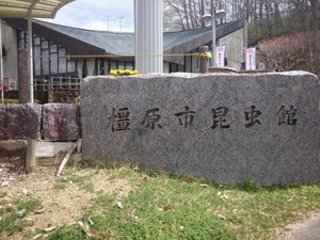 LOVE NAVI【最短即会い】