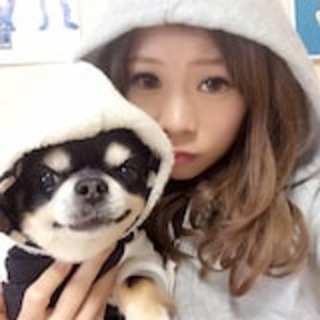 セフレ掲示板【群馬県でセフレ募集するなら】  |  セフレ掲示板【セックス募集】