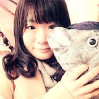 岐阜県の神待ち家出少女掲示板 – 【神待ち掲示板】家出少女・女性検索サイト