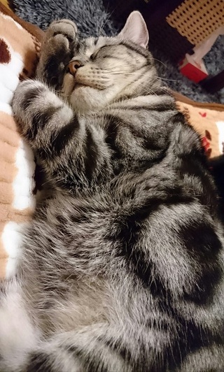 【神待ち掲示板】家出少女・女性検索サイト – 神待ちをする女性・利用するサイトを地域別に紹介しています