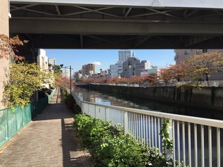 【神待ち掲示板】家出少女・女性検索サイト – 神待ちをする女性・利用するサイトを地域別に紹介しています