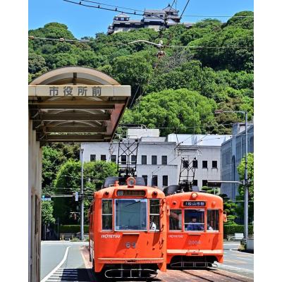 愛媛県の神待ち家出少女掲示板 – 【神待ち掲示板】家出少女・女性検索サイト