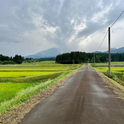 セフレ掲示板【新潟県でセフレ募集するなら】  |  セフレ掲示板【セックス募集】