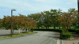 石川県の神待ち家出少女掲示板 – 【神待ち掲示板】家出少女・女性検索サイト