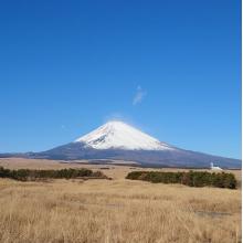 セフレ掲示板【静岡県でセフレ募集するなら】  |  セフレ掲示板【セックス募集】