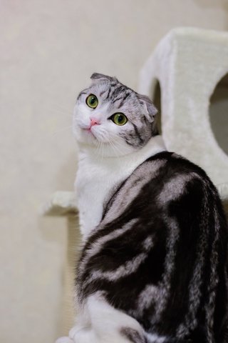 セフレ掲示板【北海道でセフレ募集するなら】  |  セフレ掲示板【セックス募集】