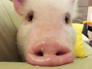 セフレ掲示板【セックス募集】  |  各地でセフレ募集している女性をご紹介しているサイトです。久しくセックスをしていない人やセフレをどんどん増やしたい人はぜひこちらで探して下さい。