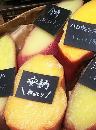 セフレ掲示板【群馬県でセフレ募集するなら】  |  セフレ掲示板【セックス募集】