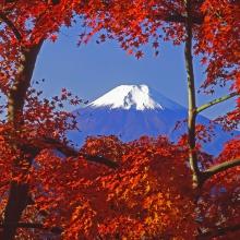 セフレ掲示板【セックス募集】  |  各地でセフレ募集している女性をご紹介しているサイトです。久しくセックスをしていない人やセフレをどんどん増やしたい人はぜひこちらで探して下さい。