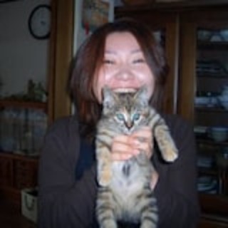 セフレ掲示板【セックス募集】  |  各地でセフレ募集している女性をご紹介しているサイトです。久しくセックスをしていない人やセフレをどんどん増やしたい人はぜひこちらで探して下さい。