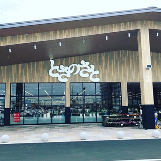 高知県の神待ち家出少女掲示板 – 【神待ち掲示板】家出少女・女性検索サイト