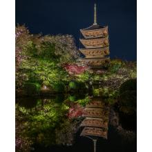 京都府の神待ち家出少女掲示板 – 【神待ち掲示板】家出少女・女性検索サイト