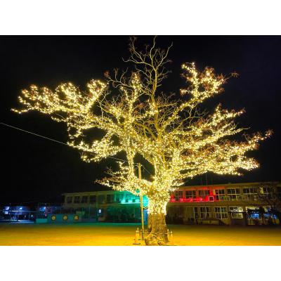 セフレ掲示板【鹿児島県でセフレ募集するなら】  |  セフレ掲示板【セックス募集】
