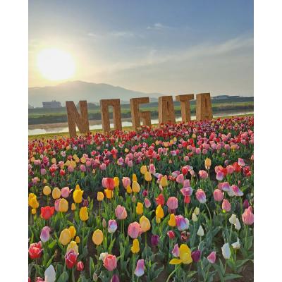 LOVE NAVI【最短即会い】