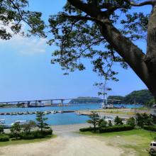 【神待ち掲示板】家出少女・女性検索サイト – 神待ちをする女性・利用するサイトを地域別に紹介しています