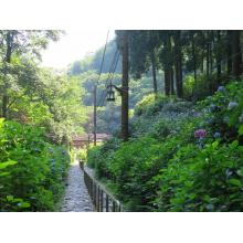 栃木県の神待ち家出少女掲示板 – 【神待ち掲示板】家出少女・女性検索サイト