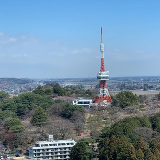 セフレ掲示板【栃木県でセフレ募集するなら】  |  セフレ掲示板【セックス募集】