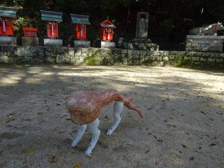 京都府の神待ち家出少女掲示板 – 【神待ち掲示板】家出少女・女性検索サイト