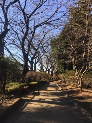 東京都の神待ち家出少女掲示板 – 【神待ち掲示板】家出少女・女性検索サイト