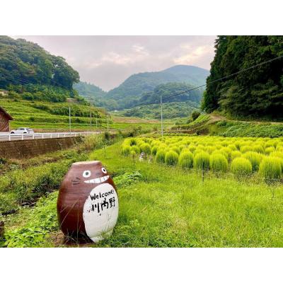 LOVE NAVI【最短即会い】