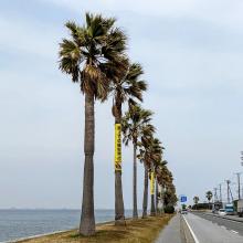 千葉県の神待ち家出少女掲示板 – 【神待ち掲示板】家出少女・女性検索サイト