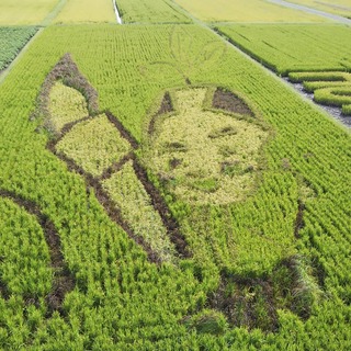 セフレ掲示板【鹿児島県でセフレ募集するなら】  |  セフレ掲示板【セックス募集】