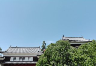 長野県の神待ち家出少女掲示板 – 【神待ち掲示板】家出少女・女性検索サイト