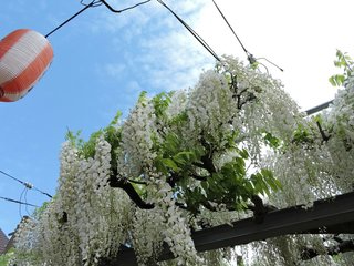 新潟県の神待ち家出少女掲示板 – 【神待ち掲示板】家出少女・女性検索サイト