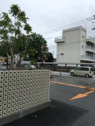 高知県の神待ち家出少女掲示板 – 【神待ち掲示板】家出少女・女性検索サイト