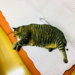 セフレ掲示板【京都府でセフレ募集するなら】  |  セフレ掲示板【セックス募集】