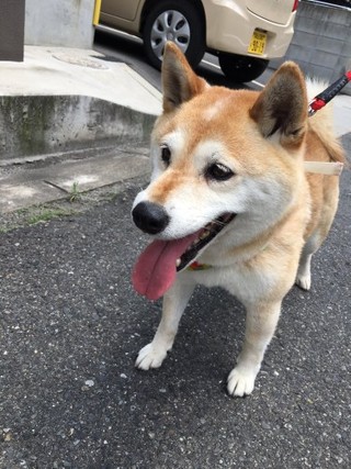 人妻・熟女出会い掲示板【地域別】 – 人妻熟女の割り切りな出会いを求めているあなたに。