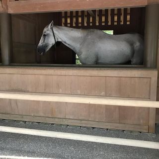 セフレ掲示板【セックス募集】  |  各地でセフレ募集している女性をご紹介しているサイトです。久しくセックスをしていない人やセフレをどんどん増やしたい人はぜひこちらで探して下さい。