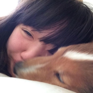 セフレ掲示板【セックス募集】  |  各地でセフレ募集している女性をご紹介しているサイトです。久しくセックスをしていない人やセフレをどんどん増やしたい人はぜひこちらで探して下さい。