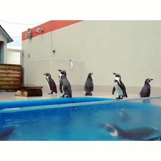 セフレ掲示板【セックス募集】  |  各地でセフレ募集している女性をご紹介しているサイトです。久しくセックスをしていない人やセフレをどんどん増やしたい人はぜひこちらで探して下さい。