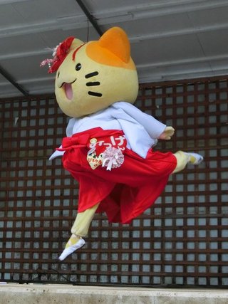 セフレ掲示板【セックス募集】  |  各地でセフレ募集している女性をご紹介しているサイトです。久しくセックスをしていない人やセフレをどんどん増やしたい人はぜひこちらで探して下さい。