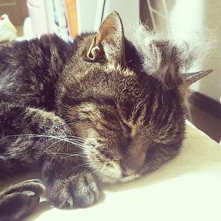 セフレ掲示板【セックス募集】  |  各地でセフレ募集している女性をご紹介しているサイトです。久しくセックスをしていない人やセフレをどんどん増やしたい人はぜひこちらで探して下さい。