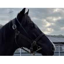 セフレ掲示板【セックス募集】  |  各地でセフレ募集している女性をご紹介しているサイトです。久しくセックスをしていない人やセフレをどんどん増やしたい人はぜひこちらで探して下さい。