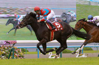 セフレ掲示板【セックス募集】  |  各地でセフレ募集している女性をご紹介しているサイトです。久しくセックスをしていない人やセフレをどんどん増やしたい人はぜひこちらで探して下さい。