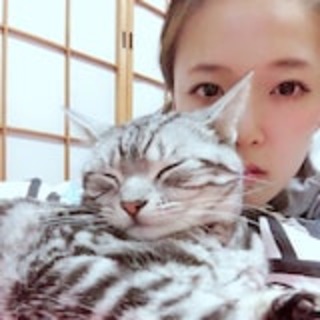 セフレ掲示板【セックス募集】  |  各地でセフレ募集している女性をご紹介しているサイトです。久しくセックスをしていない人やセフレをどんどん増やしたい人はぜひこちらで探して下さい。