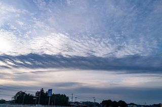 セフレ掲示板【セックス募集】  |  各地でセフレ募集している女性をご紹介しているサイトです。久しくセックスをしていない人やセフレをどんどん増やしたい人はぜひこちらで探して下さい。